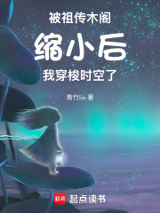 被祖传木阁缩小后，我穿梭时空了